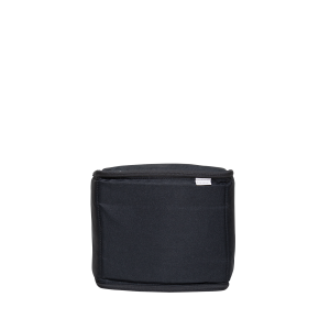Traveler Camera Case